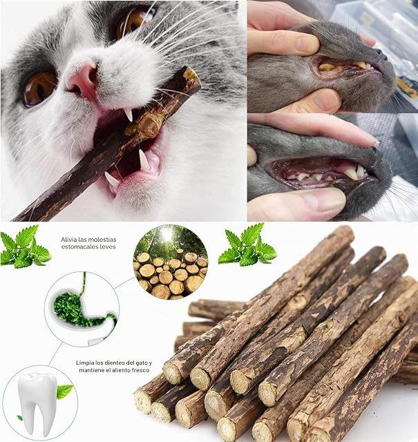 Foto 3 de 7 de winbarry Juguetes para Gatos: 30PCS Palitos De Hierba Gatera, 6PCS Ratones para Gato para Jugar