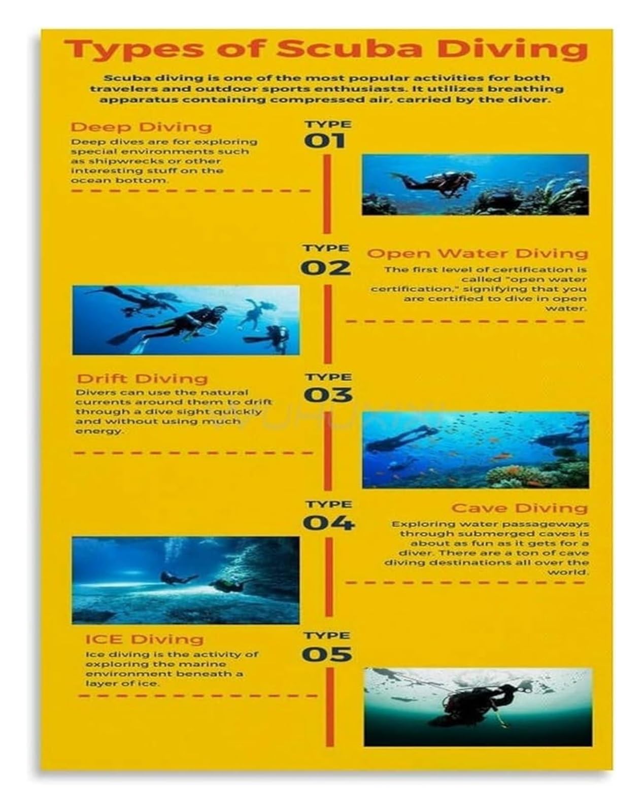 ZDVHOMCB Ocean Life Scuba Diving Educational Canvas Wall-Art for Themed Room Decor and Diver Inspiration Framed,12x18inch(30x45cm)
