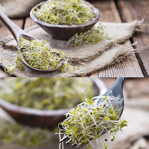 Miniatura 7 de 2 tapas para tarros de acero inoxidable con 2 soportes de germinación de acero inoxidable para tarros de boca ancha