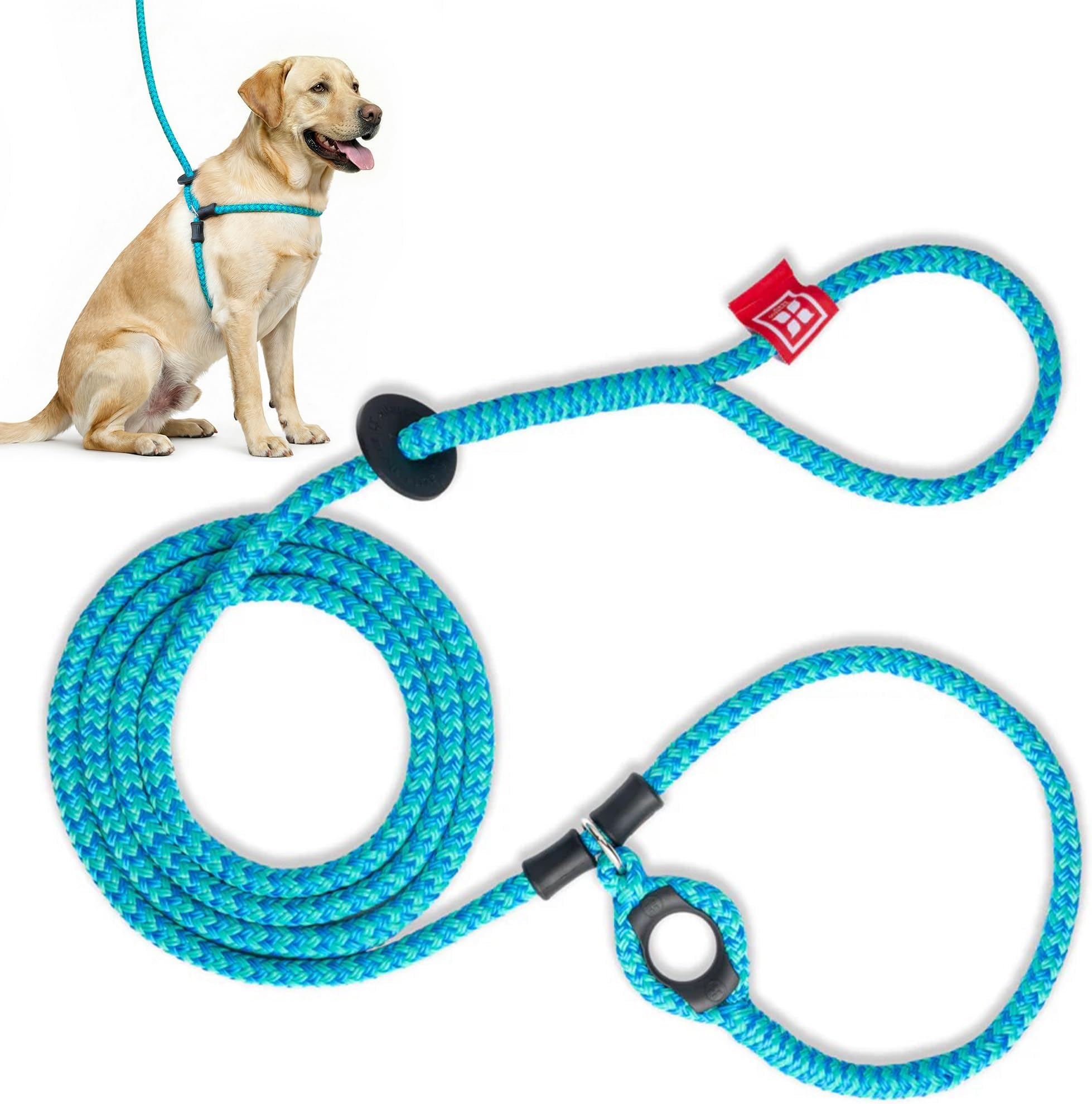 Harness Lead No Pull Dog Harness and Leash Set, Anti Pull Dog Harness for All Breeds and Sizes, One-Piece Cushioned Rope Design Safely Prevents Escaping and Pulling (Medium/Large, Blue/Multi)