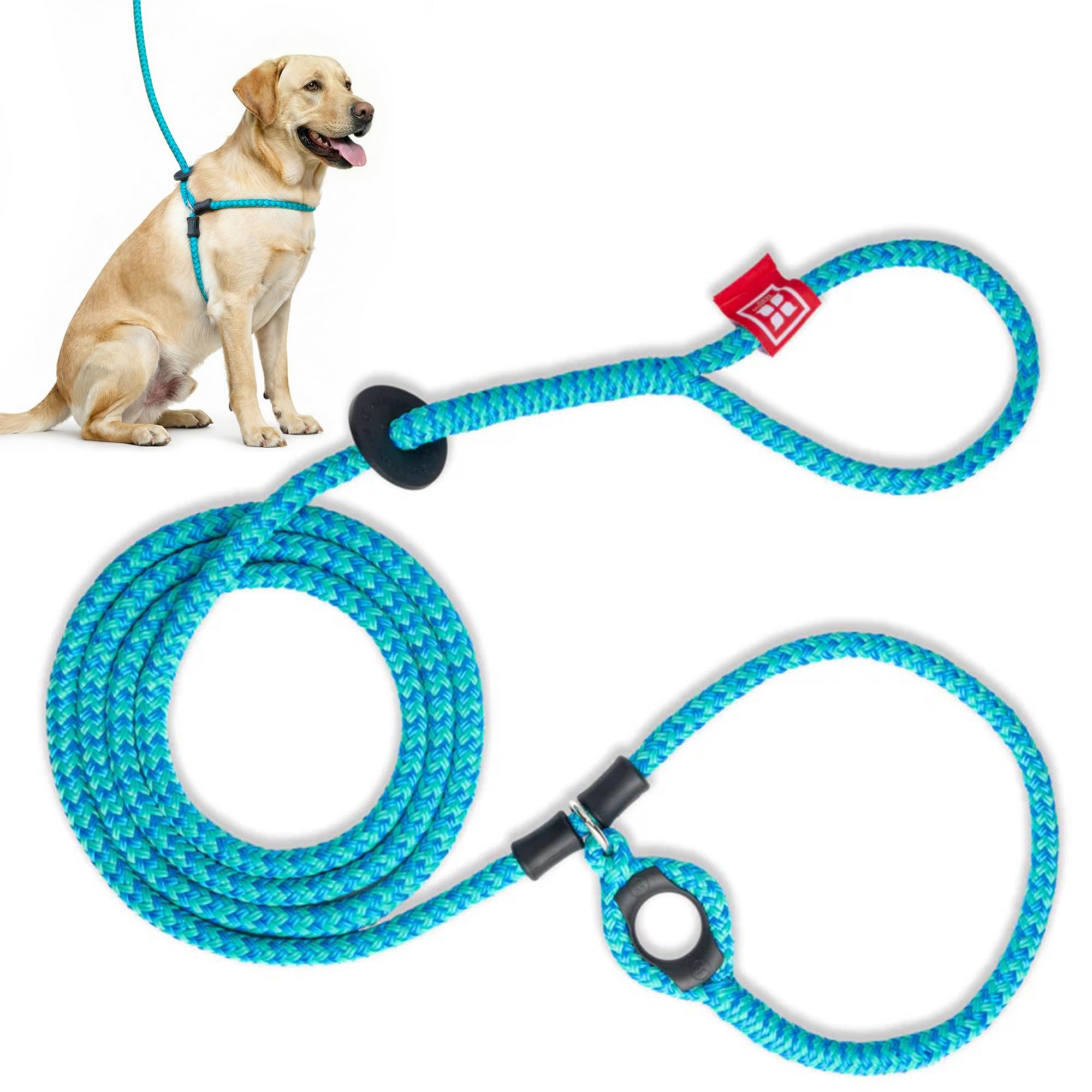 Harness Lead Leash, Medium/Large, Blue