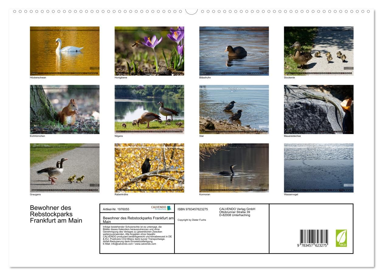 Bewohner des Rebstockparks Frankfurt am Main (Wandkalender 2026 DIN A2 quer), CALVENDO Monatskalender: Große und kleine Tiere im Rebstockpark in Frankfurt am Main (CALVENDO Tiere)
