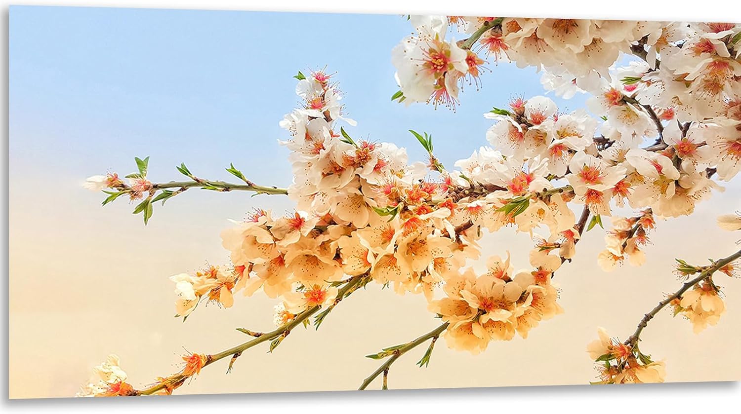 Instarry DIY 5D Diamond Painting Large Size Flowers and Trees Mosaic Rhinestones Embroidery Wall Art Decor 39.4x19.7 inch