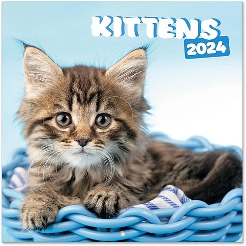 Miniatura 2 de Calendario de pared de gatos 2024 de 12 x 12 pulgadas, libre de plástico FSC, comienza la semana el domingo, planificador de 12 meses, calendario de