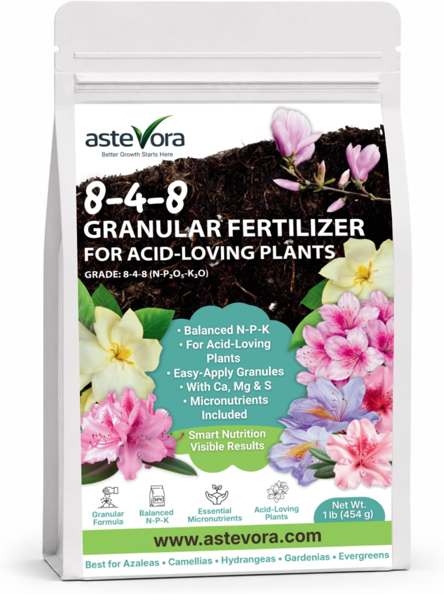 GARDENWISE 8-4-8 Acidic Fertilizer for Azaleas, Camellias (Camelia), Hydrangeas, Blueberries, Gardenias, Magnolia Trees, Evergreens, and Rhododendrons - Ideal Iron-Rich Plant Food (1/2 Quart)