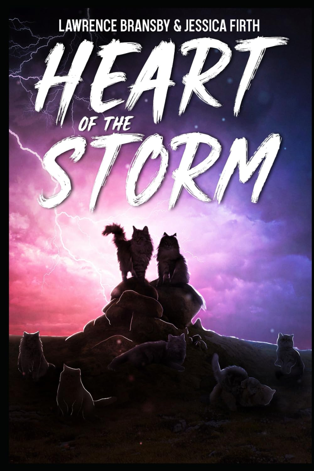 Heart of the Storm