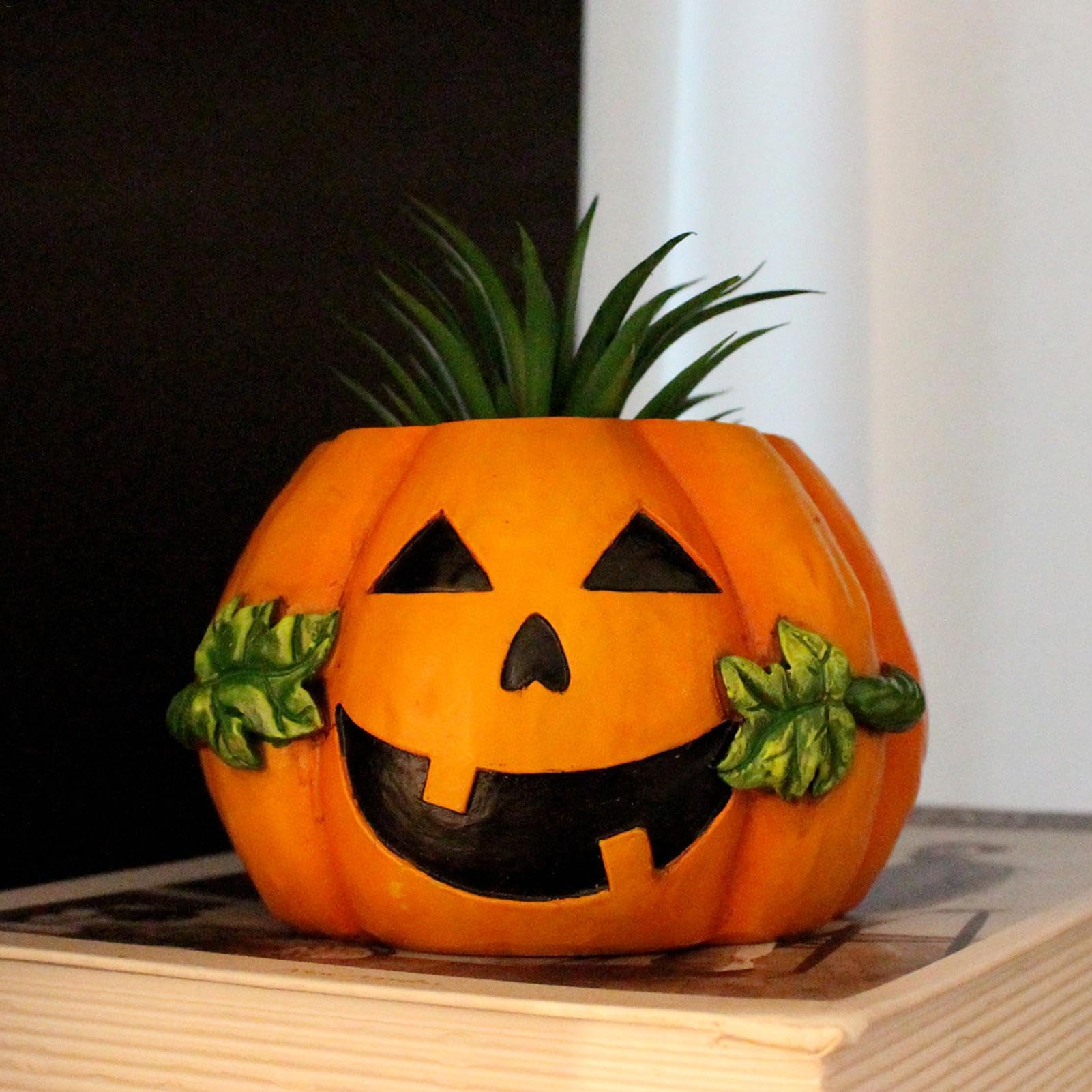 Amazon.co.jp: カボチャ植木鉢、カボチャ多肉植物ポット,ハロウィン