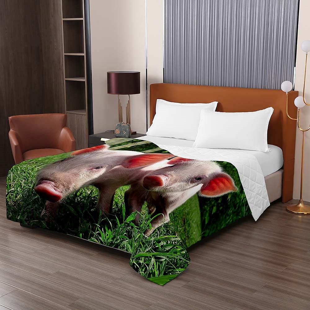 Trapuntino Copriletto Trapuntato Matrimoniale Singolo, Chickw11 3D Maiale Stampa Coperta Primaverile Estivo Trapunta Goffrato Coperta Leggera per Camera da Letto (Maiale d'erba,230x280cm)