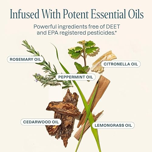 Miniatura 4 de Cliganic Vela natural repelente de mosquitos (tamaño grande de 22 onzas, paquete de 2)  Citronela, sin DEET con aceite esencial infundido para