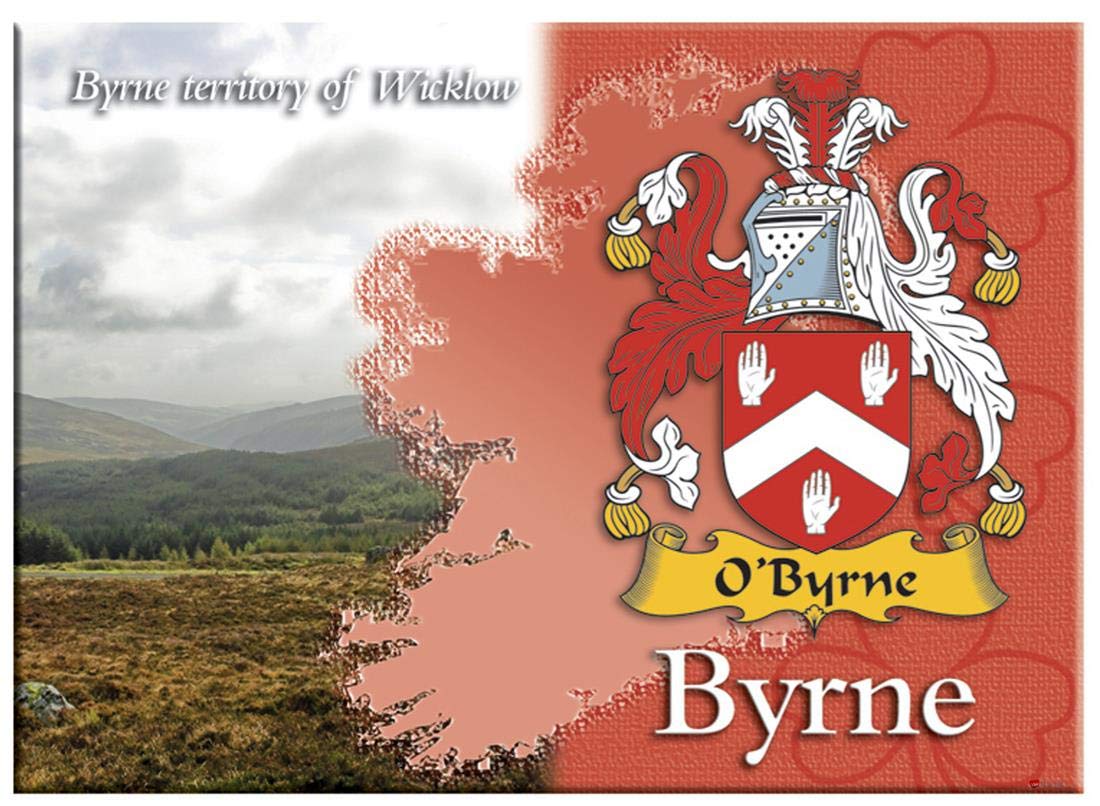 I Luv Ltd Byrne Irish Family Name Souvenir Metallic Picture Fridge Magnet