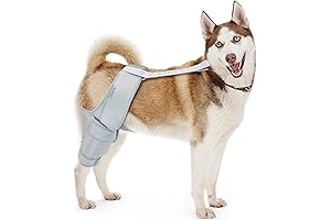 Effective Dog Leg Braces for Back Leg ACL Tears
