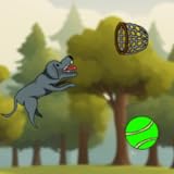 Probe Master Games