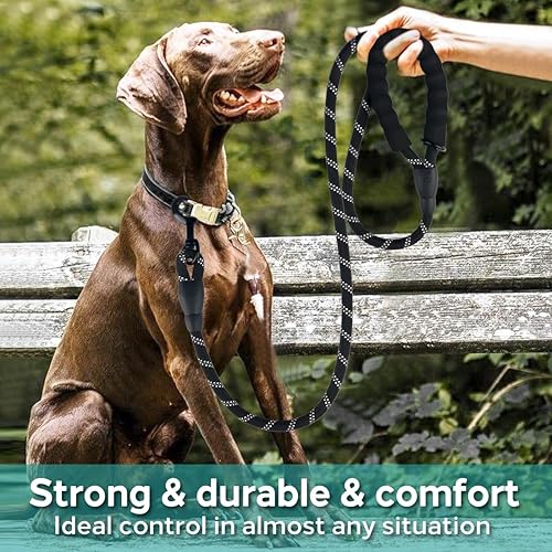 Miniatura 72 de COOYOO - Conjunto de 2 correas para perro de 5 pies, de alta resistencia, cómodo mango acolchado, correa reflectante para perros medianos y grandes