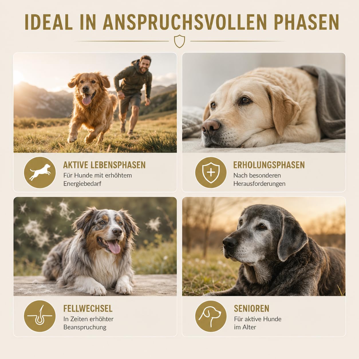 Agalostrum Vital für Hunde - Colostrum Kapseln für Hunde – 120 Kapseln – Mit Colostrum (20% IgG) & Mandelpilz – Zur Unterstützung des Wohlbefindens & Abwehrkräfte - Made in Germany