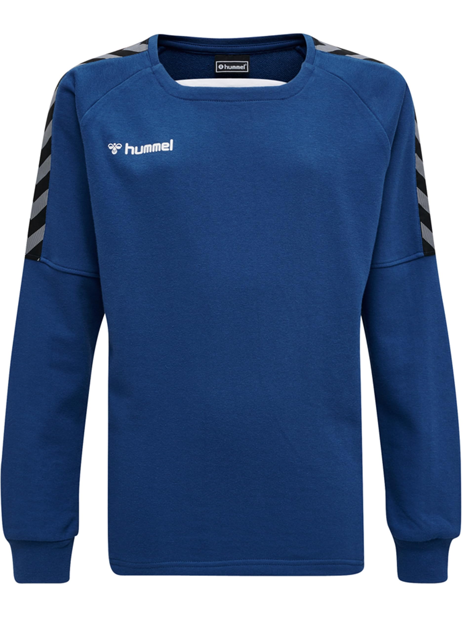 hummel Boys' Hmlauthentic Kids Training Sweatshirt, True Blue, 152