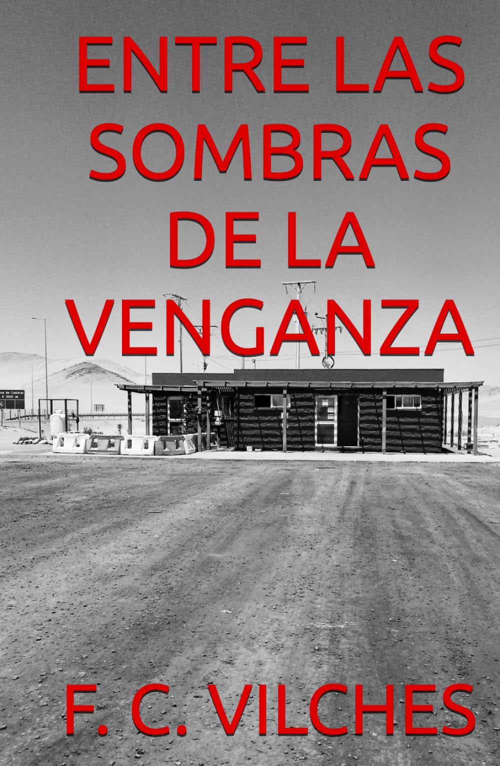 ENTRE LAS SOMBRAS DE LA VENGANZA
