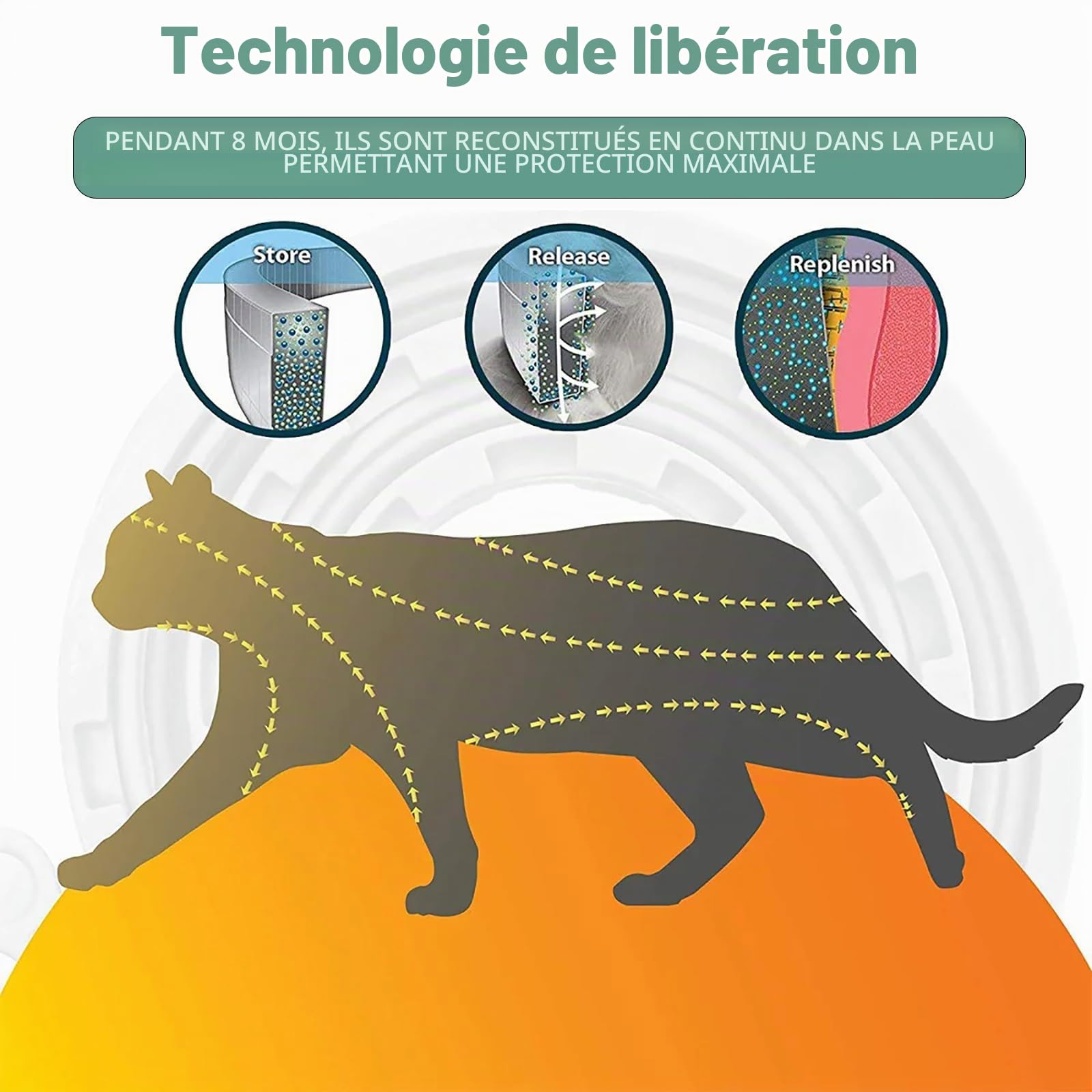 Colliers insecticides pour chats repoussent efficacement les puces, les tiques, les acariens, les moustiques et plus encore, design léger et imperméable, protection jusqu'à 24 mois, lot de 3