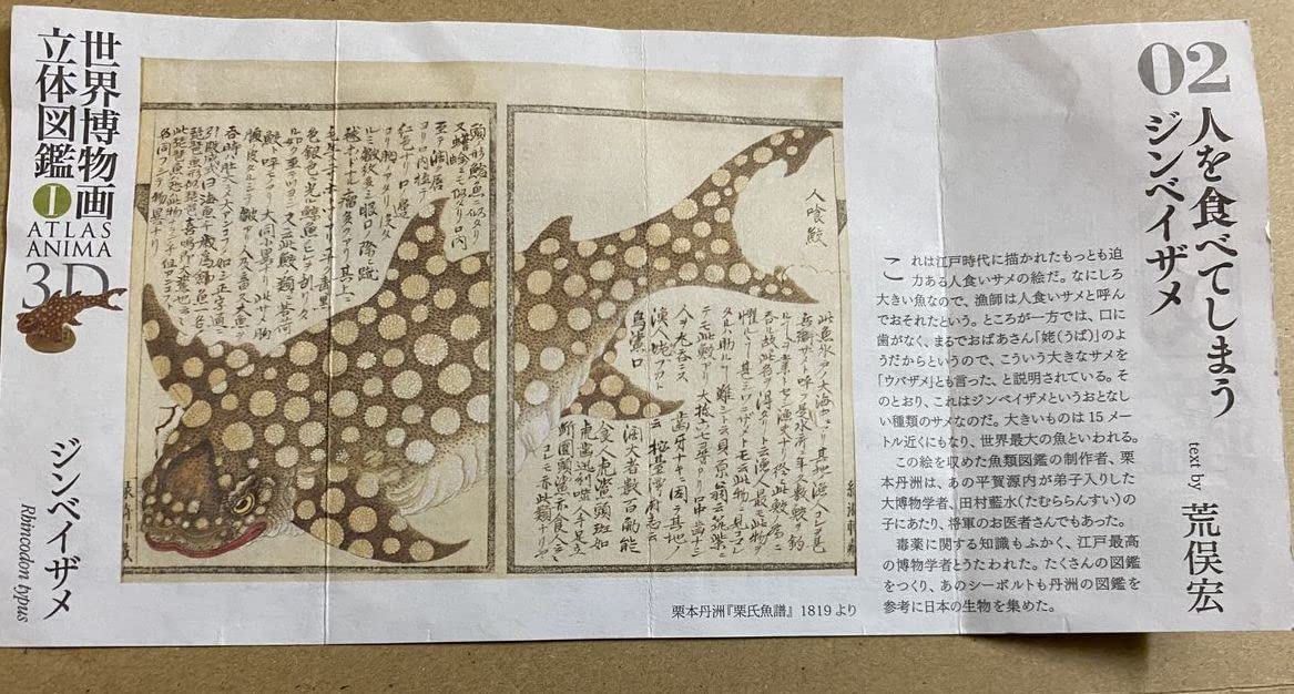 海洋堂 - 新江ノ島水族館限定 海洋堂 世界博物画立体図鑑 1 全8種セット/未開封 海洋堂 - 新江ノ島水族館限定 海洋堂 世界博物画立体図鑑 1 全8