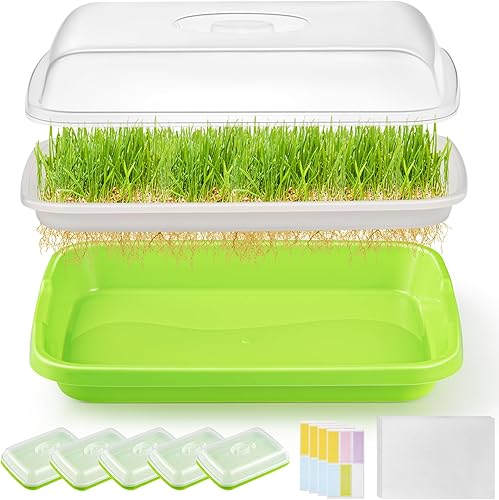 Miniatura 1 de FELISTORY Paquete de 6 bandejas de germinación de semillas verdes con tapa, bandeja de germinación de cultivo sin tierra, bandeja de vivero con