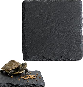 Reptile Basking Platform, 10 10cm Rock Plate Feeding Food Bowl