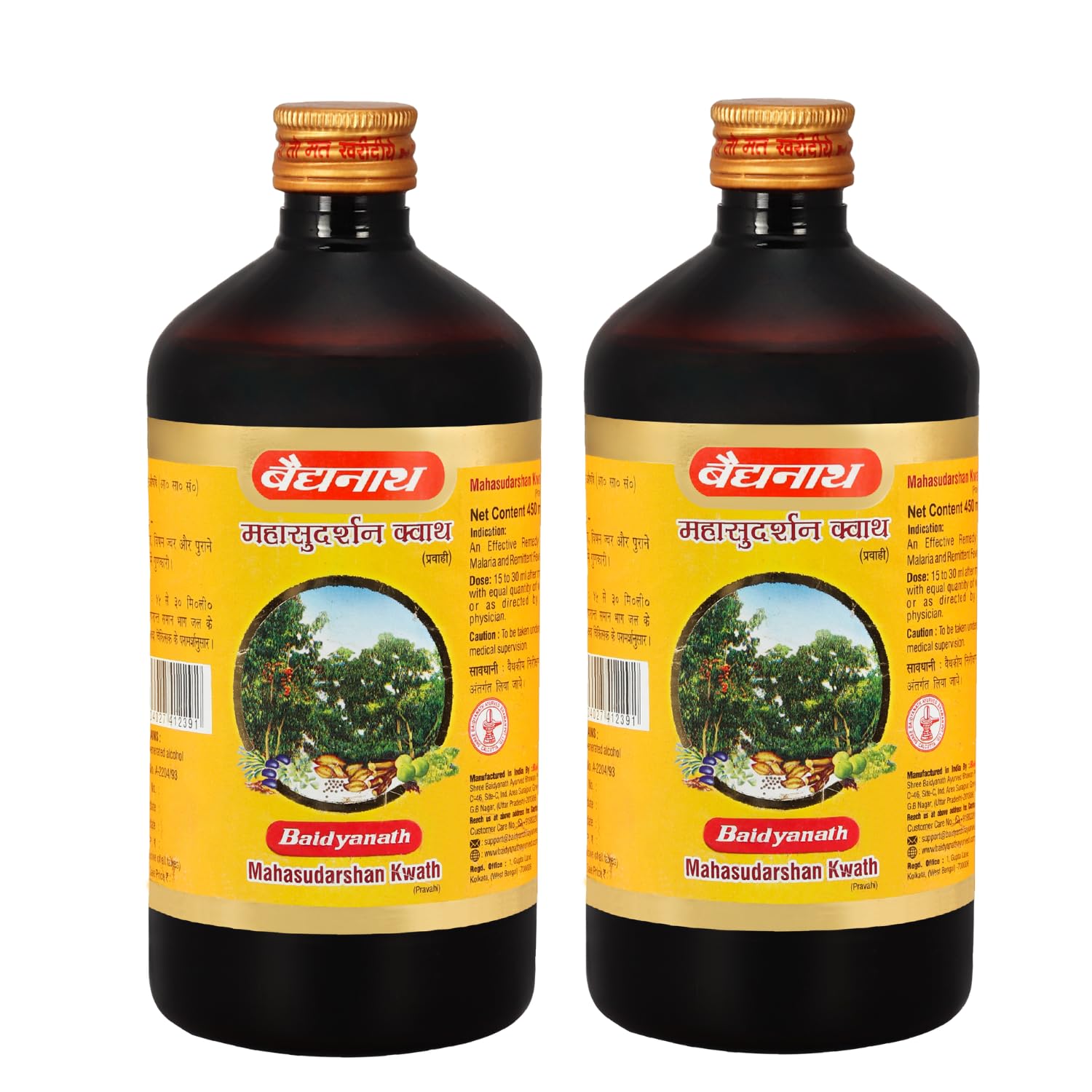 Baidyanath Ayurved Mahasudarshan Kwath - 450 ML (Pack of 2)