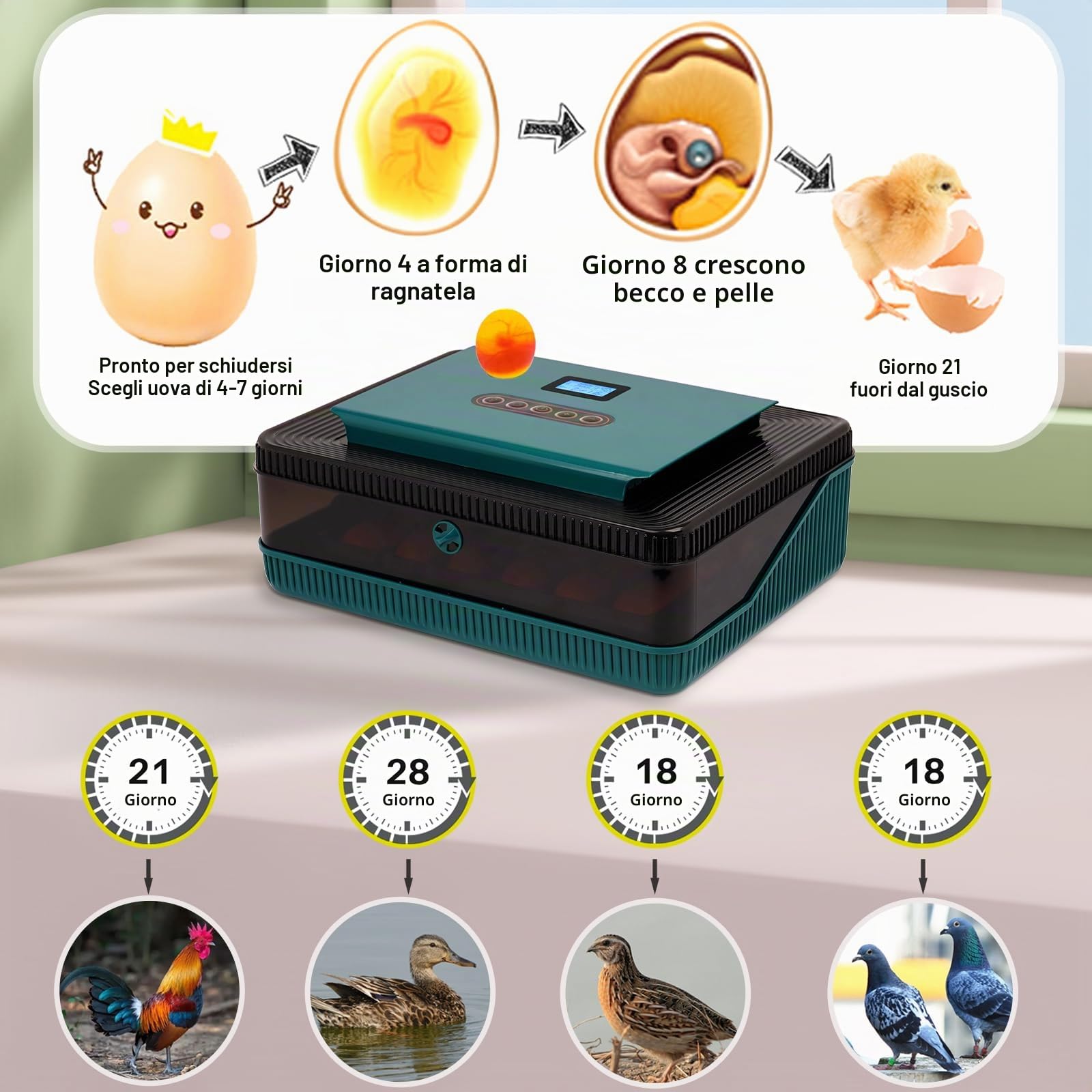 Incubatrice Automatica da 25 Uova con Display Led Multifunzione, Rovesciamento Automatico Delle Uova e Controllo Della Temperatura e Dell'Umidità, Adatta Per la Cova di Polli, Anatre e Oche