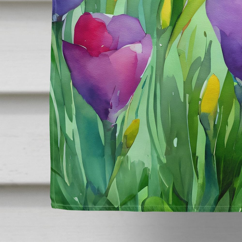 Caroline's Treasures Freesias in Watercolor House Flag Large Porch Sleeve Pole Decorative Outside Yard Banner Artwork Wall Hanging, Polyester, House Size, Multicolor