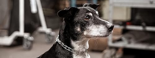 Miniatura 10 de Herm Sprenger - Collar de perro de acero inoxidable negro con hebilla de liberación rápida ClicLock para perros pequeños medianos y grandes