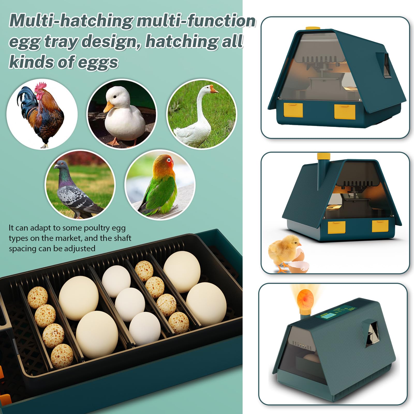 10 Incubadora Automática, Incubadora De Huevo, Rotación Automática De Huevos, Control De Temperatura Y Pantalla De Humedad Con Luz, Mire-Huevos Integrado Para Huevos