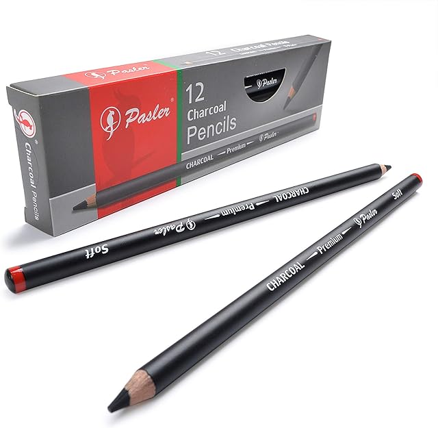 Pasler® Charcoal Drawing Pencils,you can choose Soft, Soft-S, Medium and Hard for Drawing, Sketching, Shading, Artist Pencils for Beginners & Artists Set of 12 Count (SOFT)