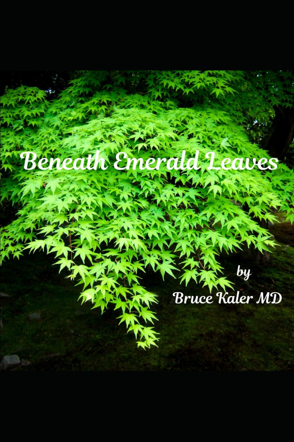 Beneath Emerald Leaves