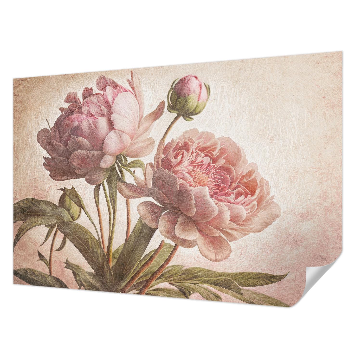 Décor mural adhésif pivoines 104x70 cm pour salon et chambre
