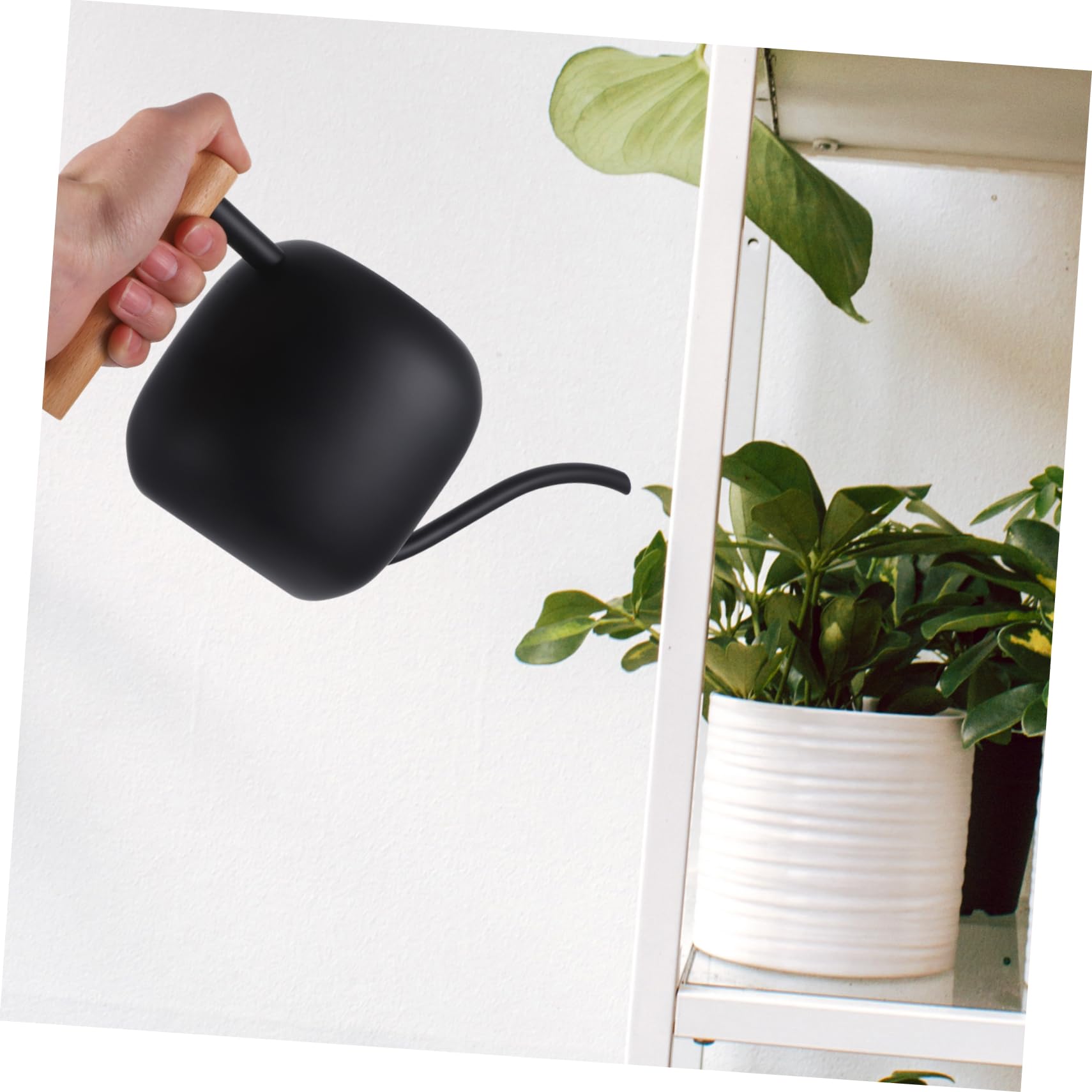 LIOOBO 1.2L Edelstahl Gießkanne Mit Ausgießer – Elegante Blumengießkanne Für Zimmerpflanzen - Sukkulenten Und Bonsai – Stilvolles Design in Schwarz Für Garten Und Innenbereich