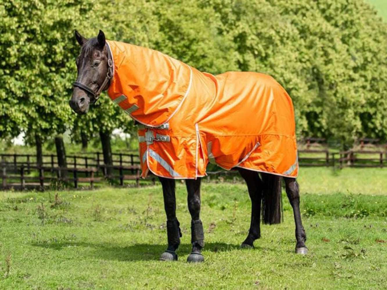 Swish Equestrian 200G Detachable Neck Turnout Rug - Orange 1200denier