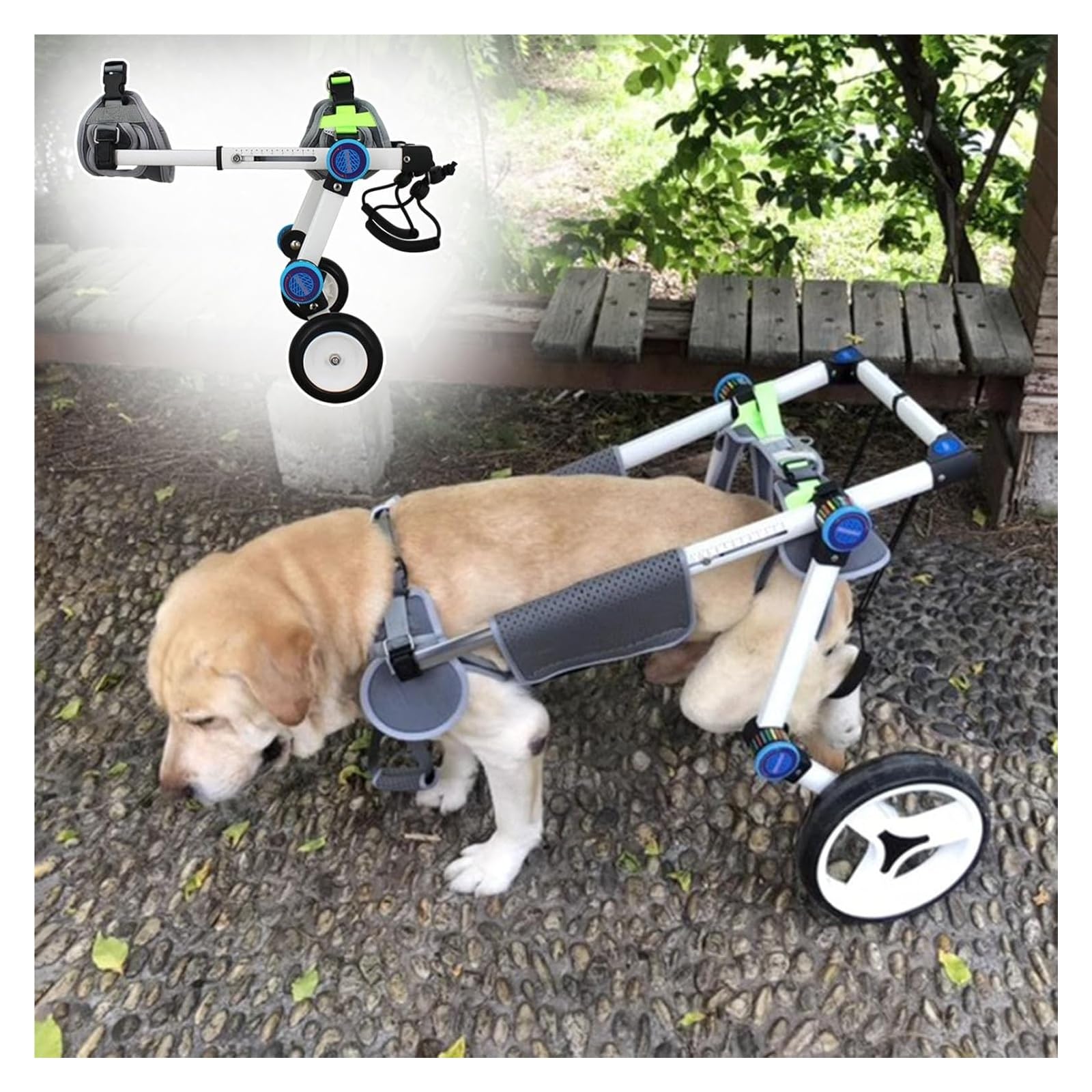Silla de ruedas ajustable cura la inmovilidad canina: carrito de apoyo trasero Talla S