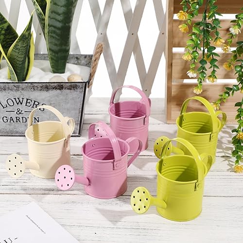 Miniatura 9 de Regadera pequeña de 5 piezas, regadera de metal para plantas al aire libre, mini regadera de hierro para jardín Yarde para plantas caseras macetas