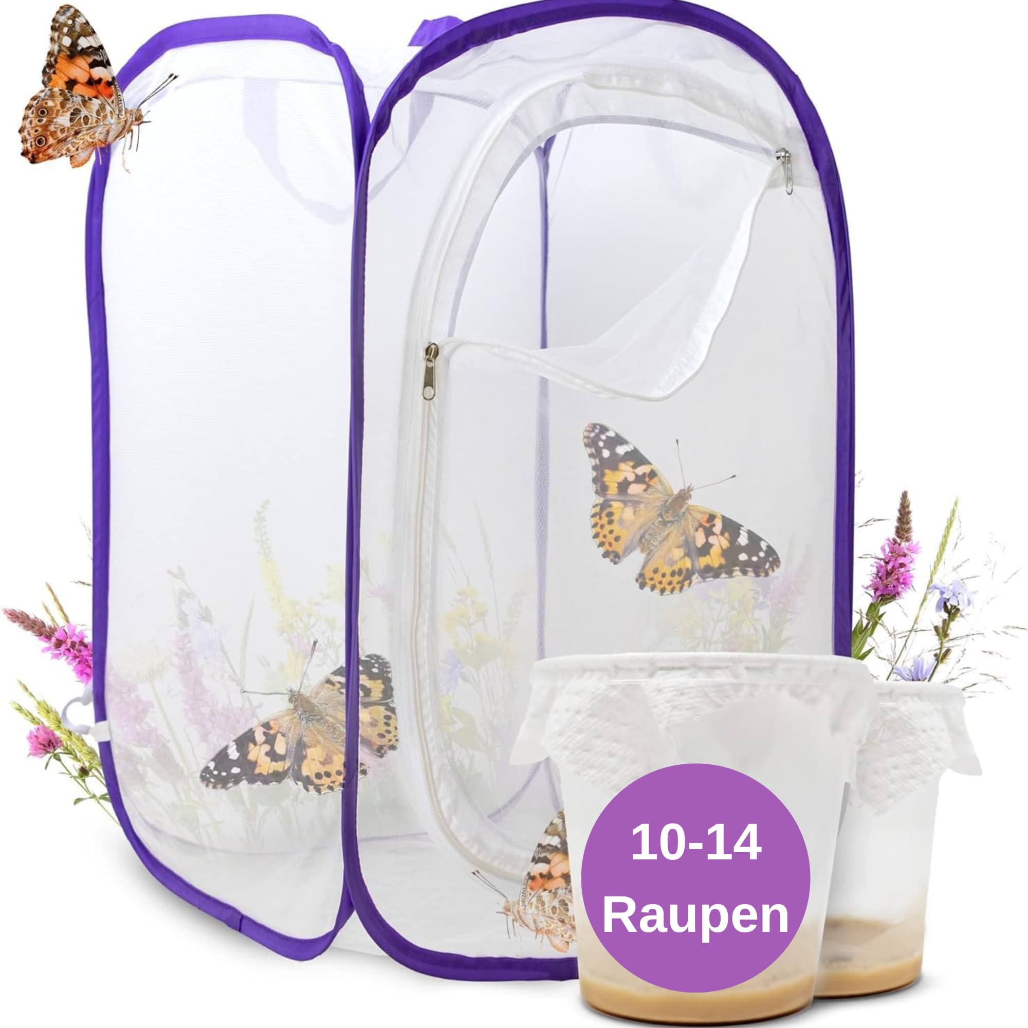 Kit D'Élevage De Papillons Pour Enfants Et Adultes - Chenilles De Chardon, Habitat Inclus - Garantie De Succès, Matériel Éducatif