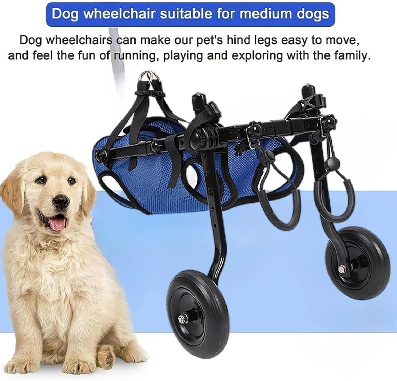Sedia A Rotelle Per Zampe Posteriori Cane | Carrello Regolabile Per Cani Piccoli E Medi (Taglia XS)