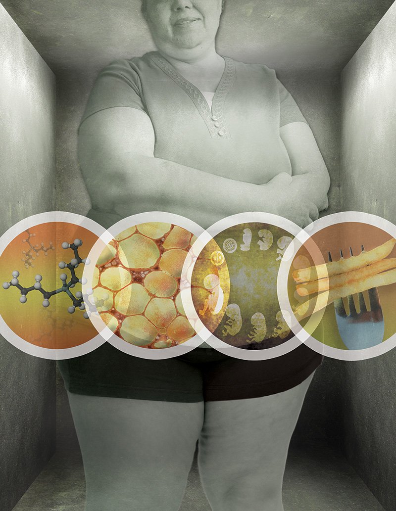 Buy CLINICAL GUIDELINES ON THE IDENTIFICATION, EVALUATION, AND OF