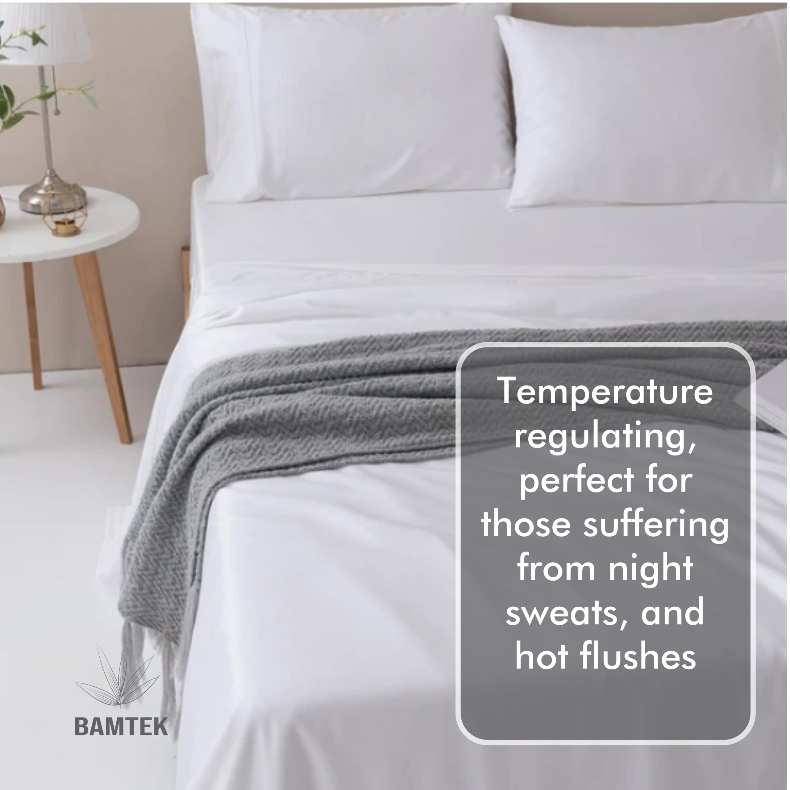 Organic Bamboo Sheet Set Queen Size 