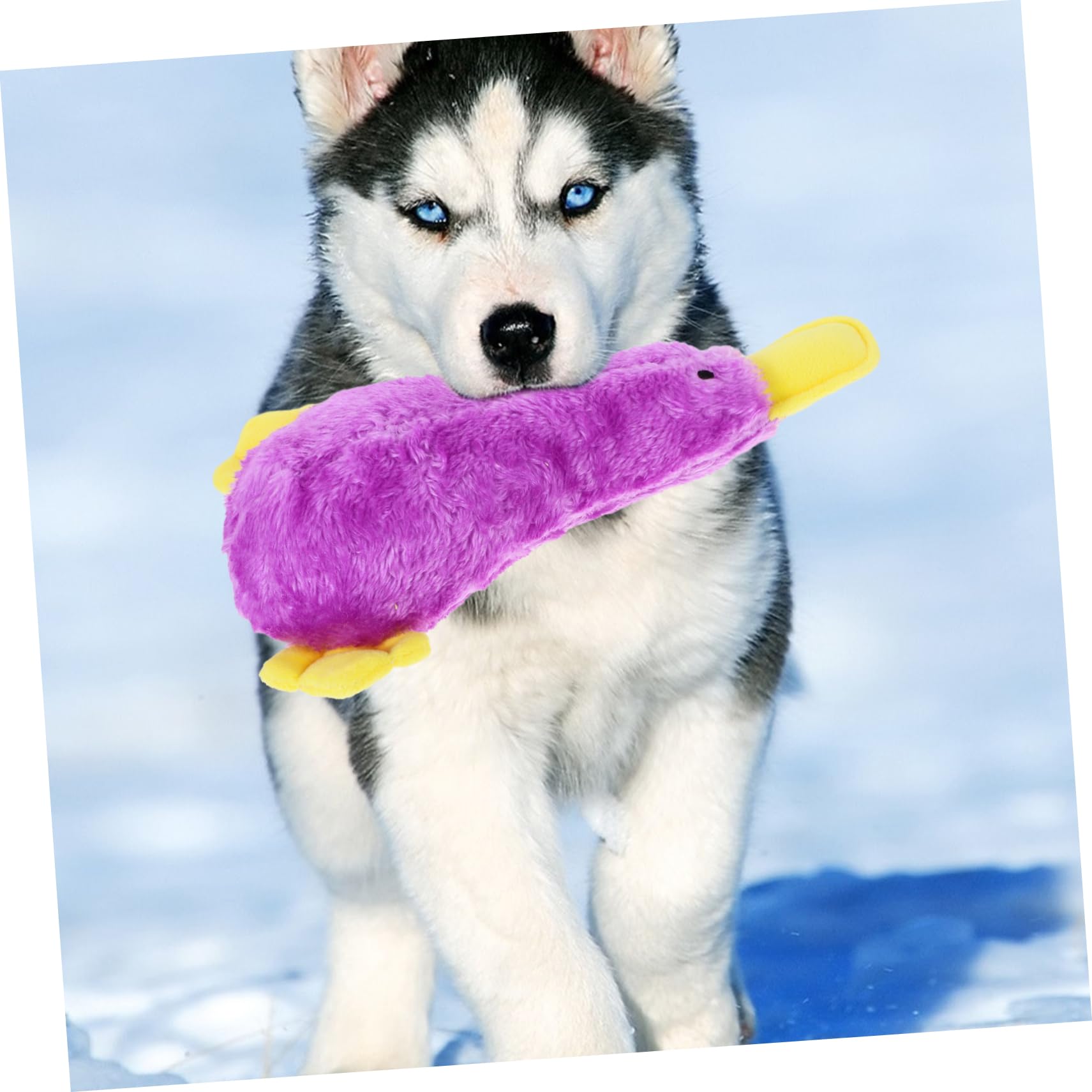 TOYANDONA Jouet Peluche Chien Couine pour Chiot Jouet à Mâcher Oiseau pour Animal de Compagnie Motif Dessin Animé