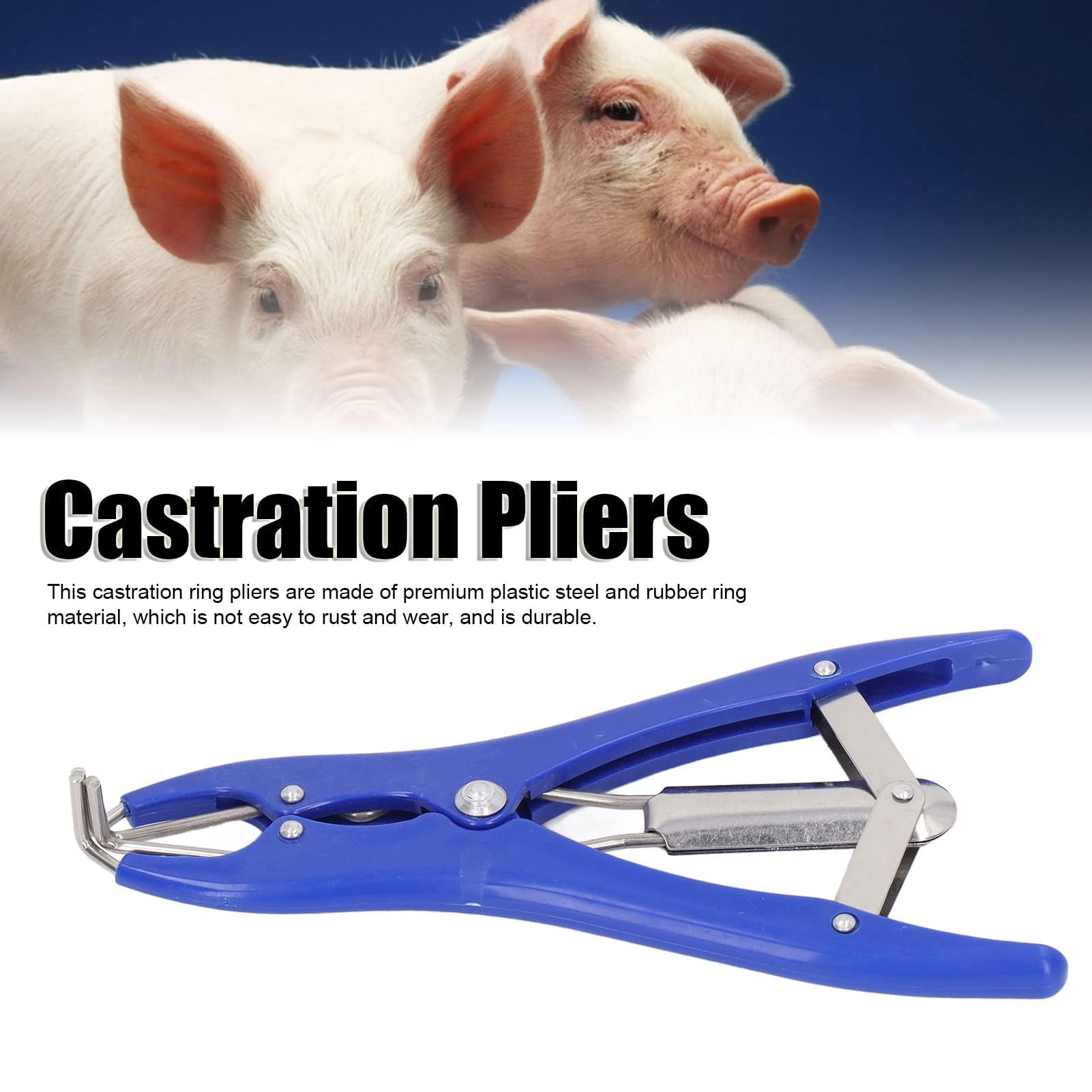 Kit Professionale per Castrazione 1 Pinza Elastrator in Plastica Durevole 100 Anelli Elastici di Gomma Rossa, per Ovini, Caprini e Suinetti Strumento per Allevamento e Uso Veterinario