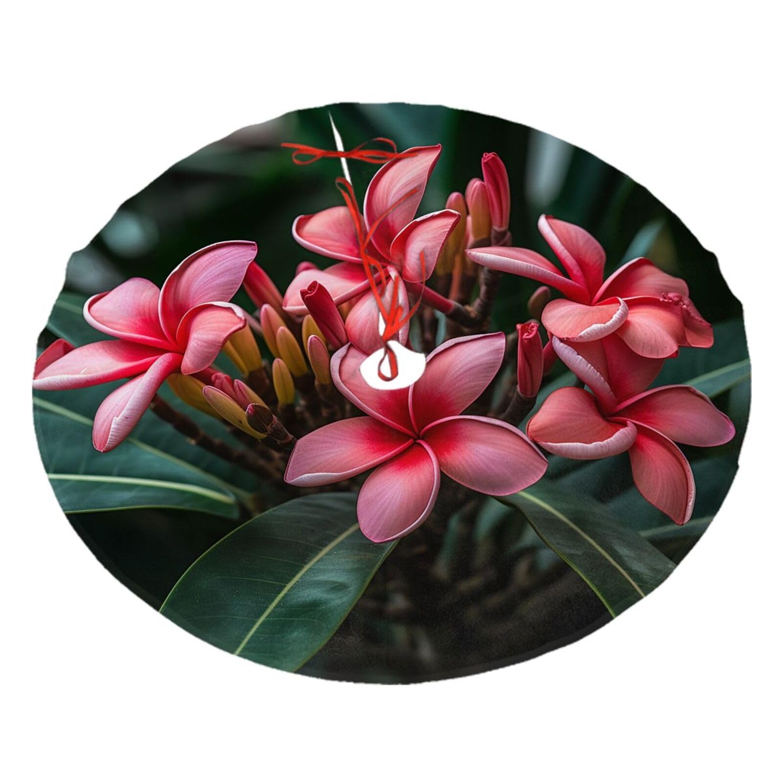 Plumeria Christmas Tree Skirt 36",Soft Plush Xmas Tree Mat Christmas Tree Oranment for Merry Christmas Party Holiday Indoor Outdoor Decorations