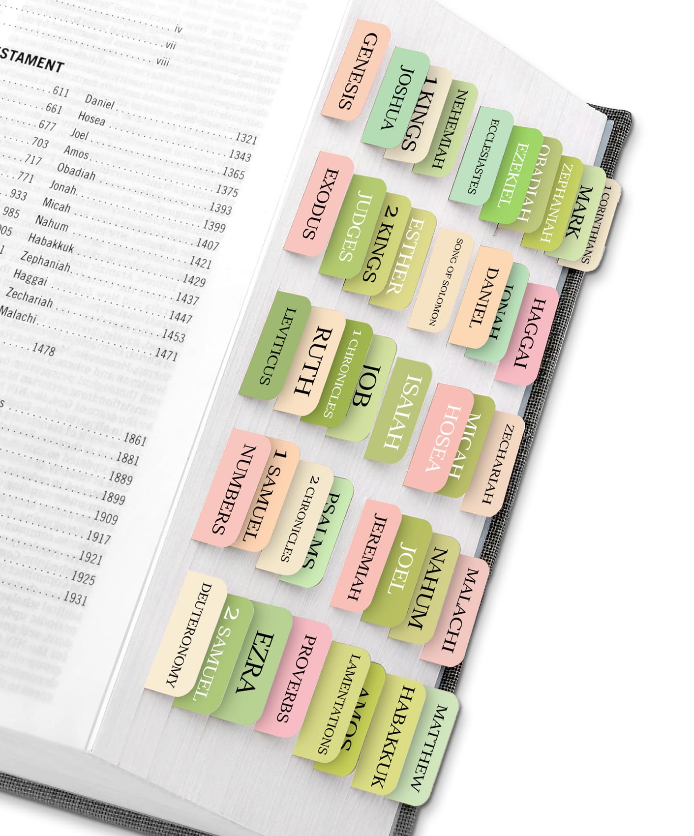 Taja Bible Tabs, 75 Large Print Index Tabs for Women &amp; Men