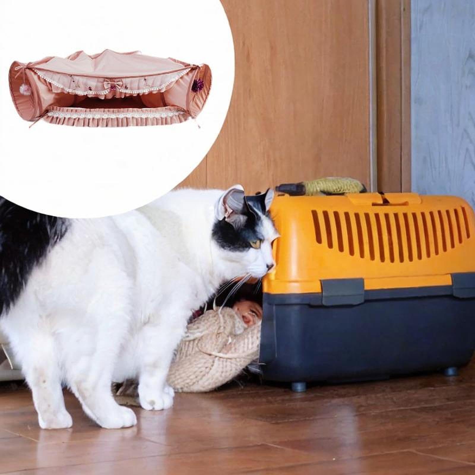Baoblaze Tunnel pour Chat 2 en 1, Jouet interactif, Pliable pour Chatons, avec Tapis Amovible, pour Chiens, Lapins, Chats d'intérieur, Animaux de, Rose