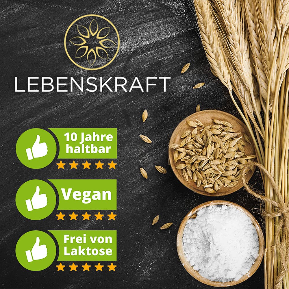 Lebenskraft Dosenbrot, Roggenvollkornbrot, 12x 350g Dose, lang haltbar, ohne Weizenmehl, vegan, laktosefrei