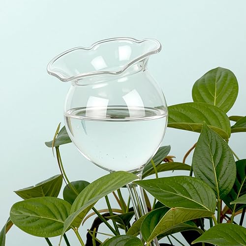 Miniatura 7 de Adabocute Globos de riego automático para plantas, picos de riego automático, dispositivos de bombillas de agua de vidrio transparente soplado a