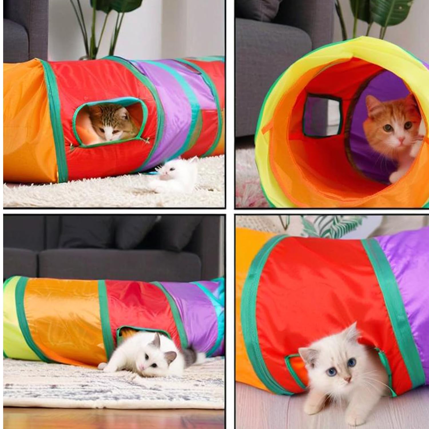 Tunnel de jeu pour chat arc-en-ciel, 16 cm, pliable, jouet interactif pour animal de compagnie