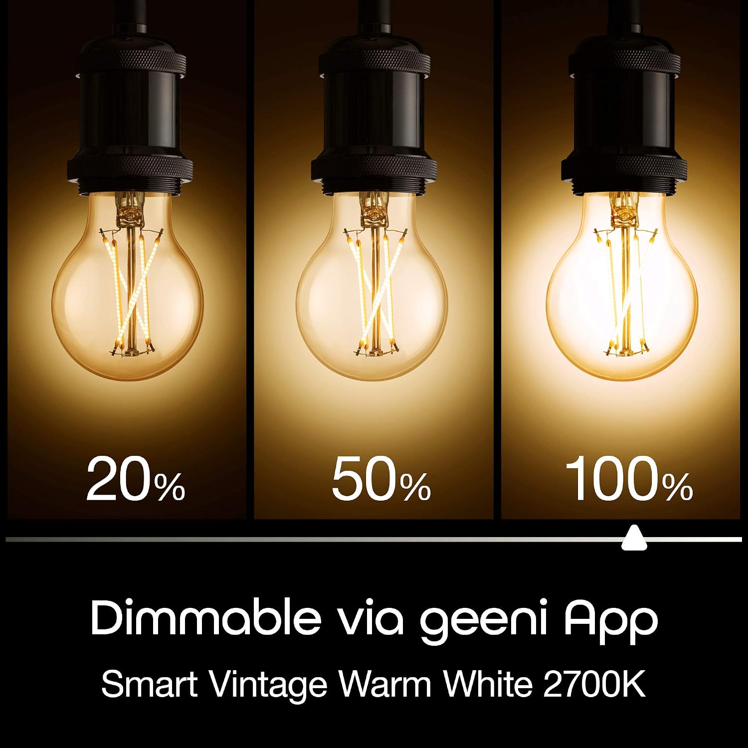 Geeni LUX Edison WiFi LED Edison Smart Light Bulb, Soft White (2700K), 2-Pack – Dimmable LED Bulbs, A19, 60-Watt Equivalent, No Hub Required, Works with Amazon Alexa, Google Home