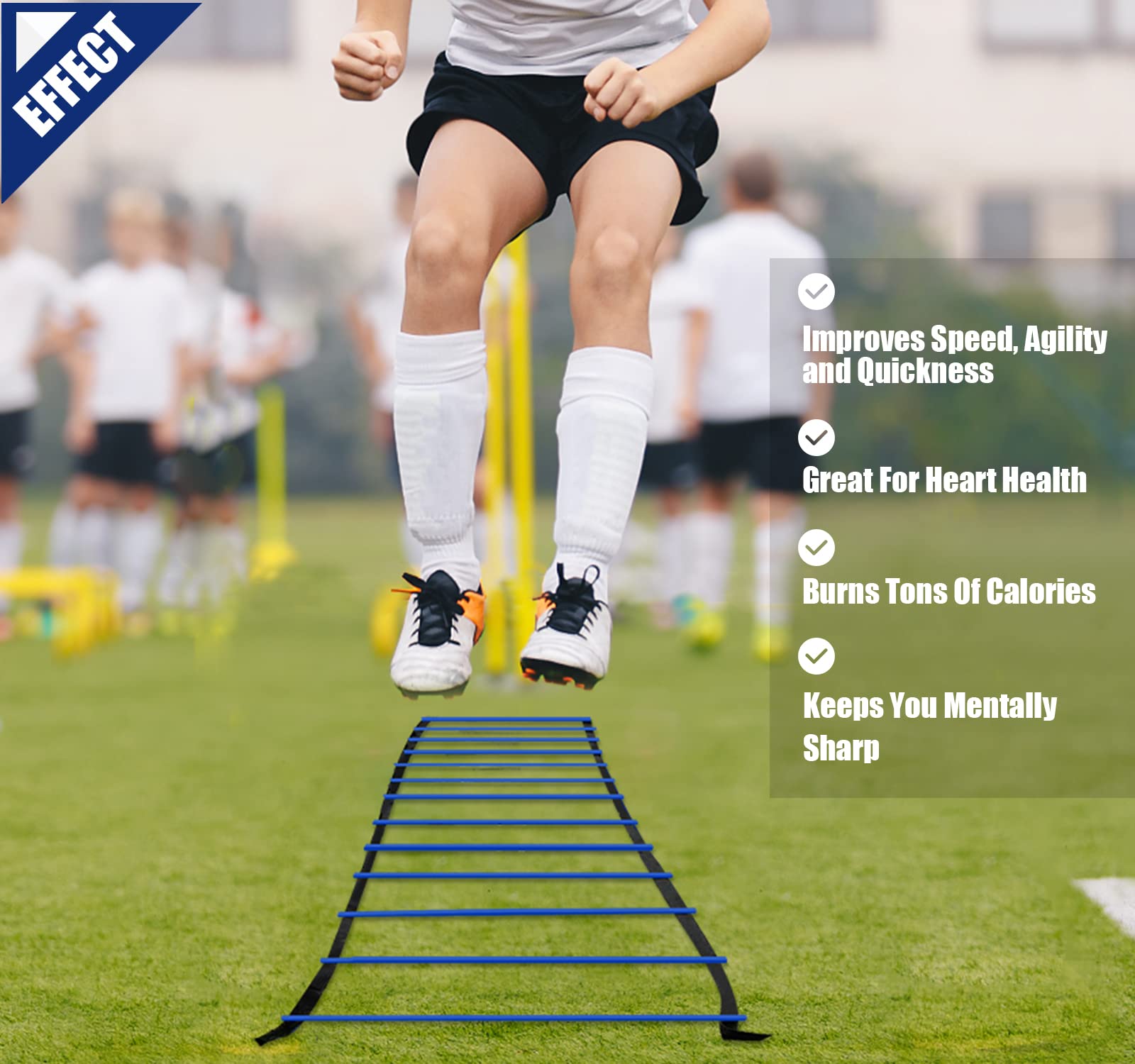Teenitor Agility Ladders, 13 Rung Agility Ladder Speed Ladder Footwork Ladder